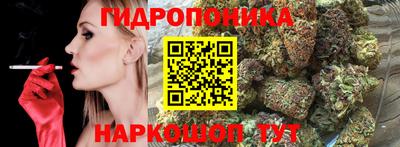 сатива Волжск