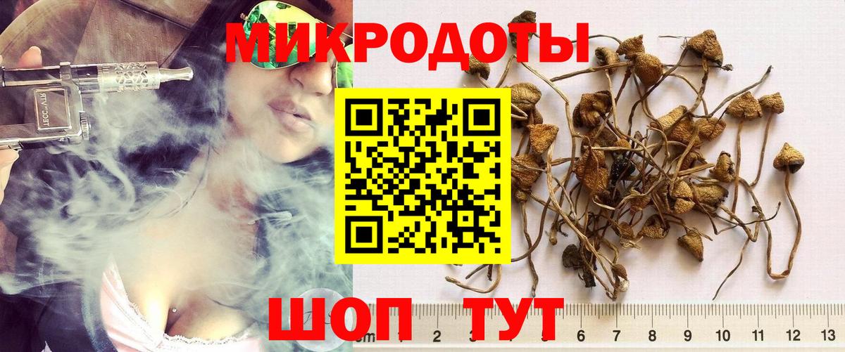Галлюциногенные грибы Magic Shrooms  наркошоп  Вход с VPN  Орехово-Зуево  Галлюциногенные грибы Psilocybine cubensis 